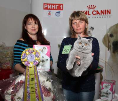   ' -' 30 -1  2013 90_best2_kitten_IMG_4557 copy.jpg